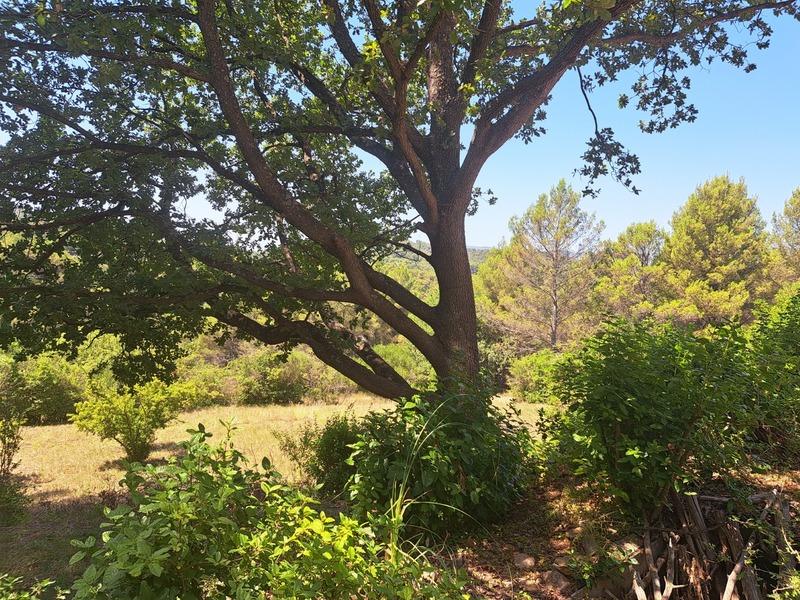 Maison - 132 m² - 6 pièces