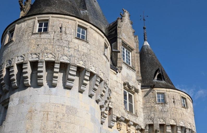 Manoir - 1 500 m² - 30 pièces