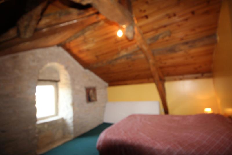 Maison en pierre - 180 m² - 8 pièces