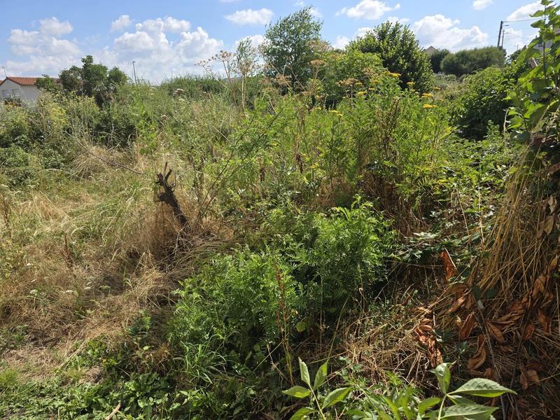 Appartement - 81 m² - 3 pièces