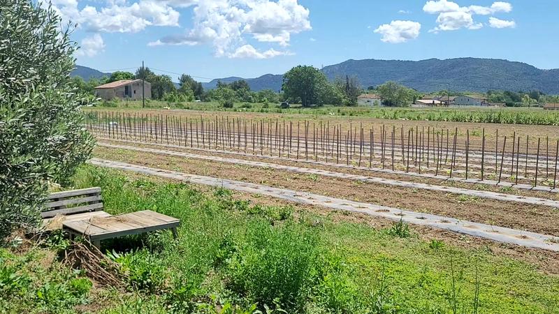 La ferme des roselières
