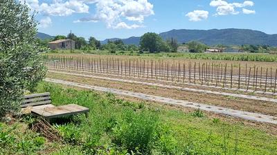 La ferme des roselières