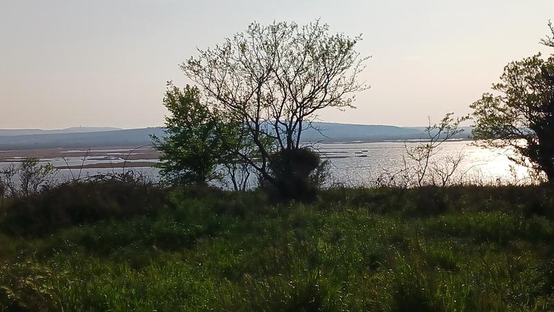 Terrain agricole - 4 323 m²