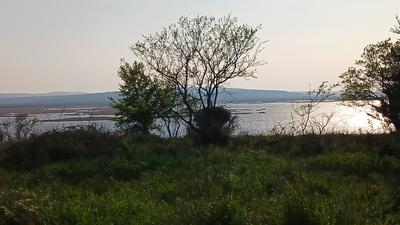 Terrain agricole - 4 323 m²