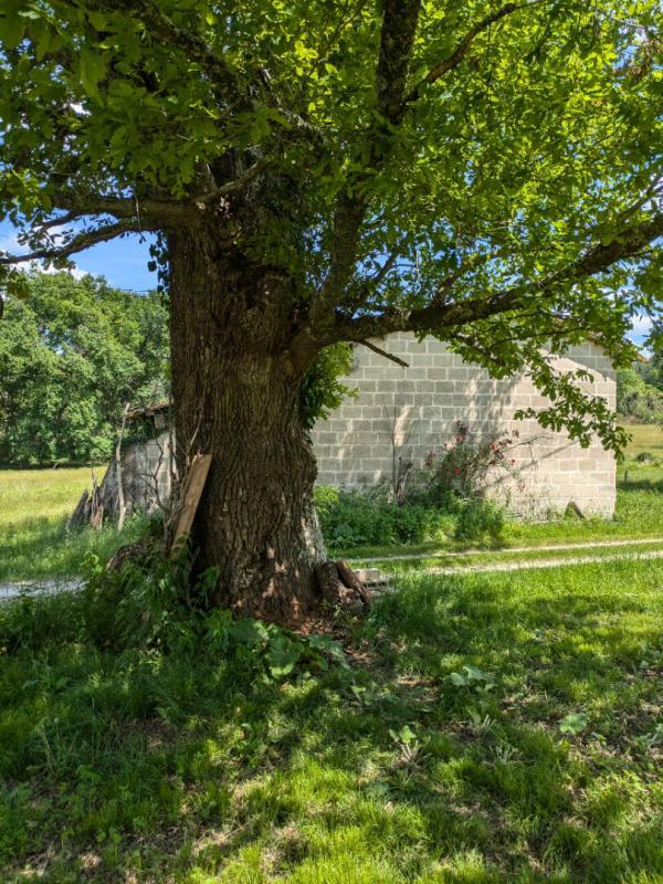 Maison - 190 m² - 5 pièces