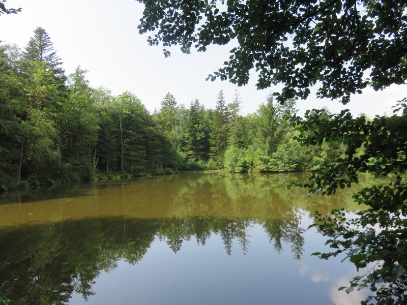 Terrain de loisirs - 4 560 m²