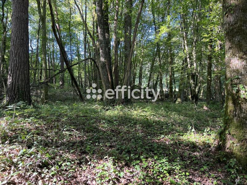 Terrain - 14 696 m²