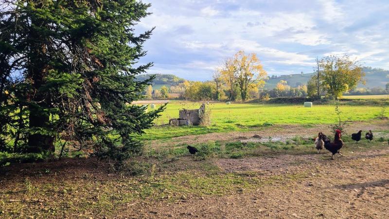 Propriété - 146 m² - 6 pièces