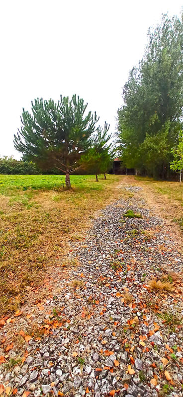 Maison - 250 m² - 1 pièce