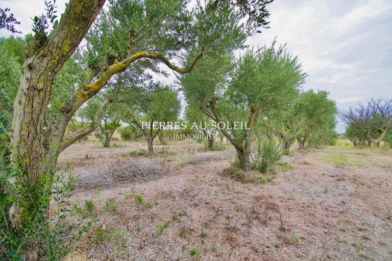 Propriété - 227 m² - 8 pièces