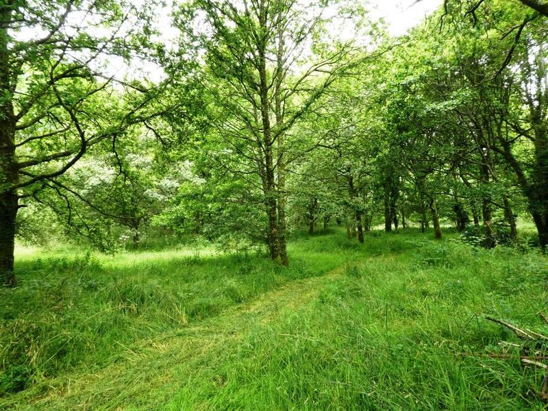 Maison en pierre - 90 m² - 4 pièces