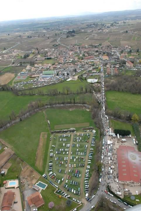 Grande farfouille de cercié