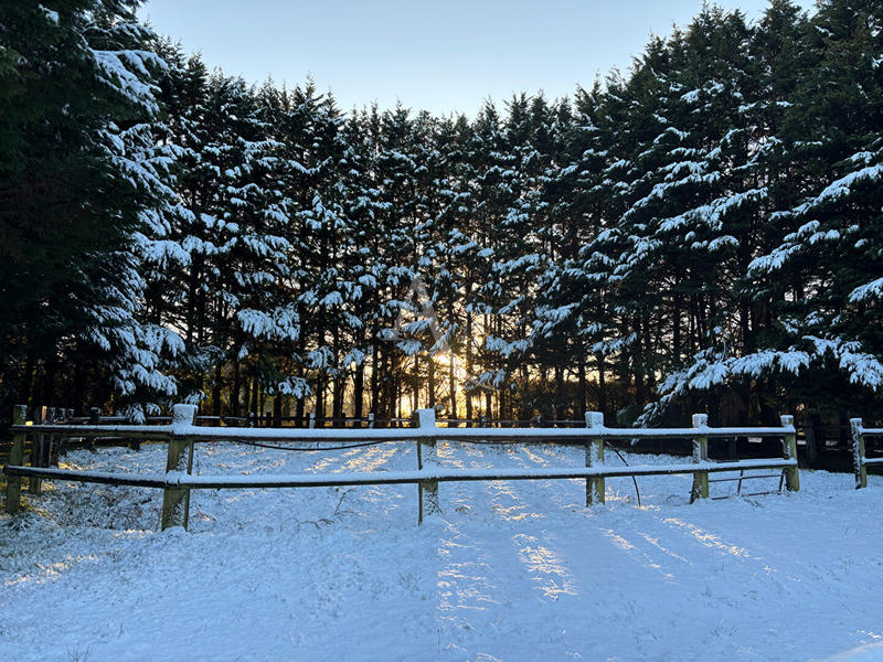 Maison - 168 m² - 5 pièces