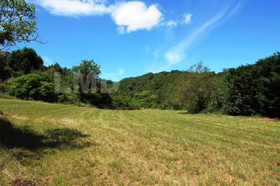 Terrain - 10 678 m²