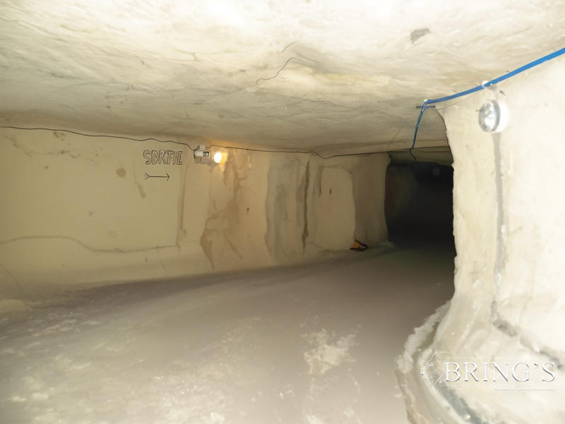 Entrepôt - 10 000 m²