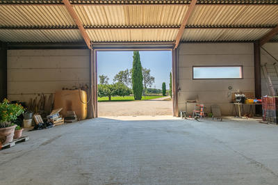 Local commercial - 380 m² - 6 pièces