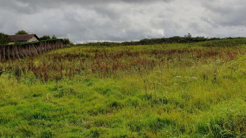 Terrain constructible - 1 435 m²