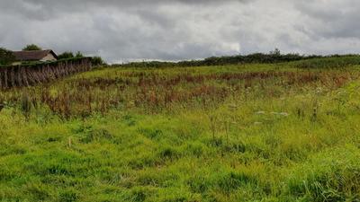 Terrain constructible - 1 435 m²