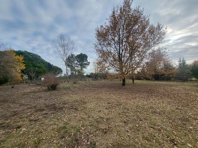 Terrain - 1 000 m²