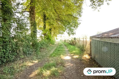 Terrain - 14 623 m²