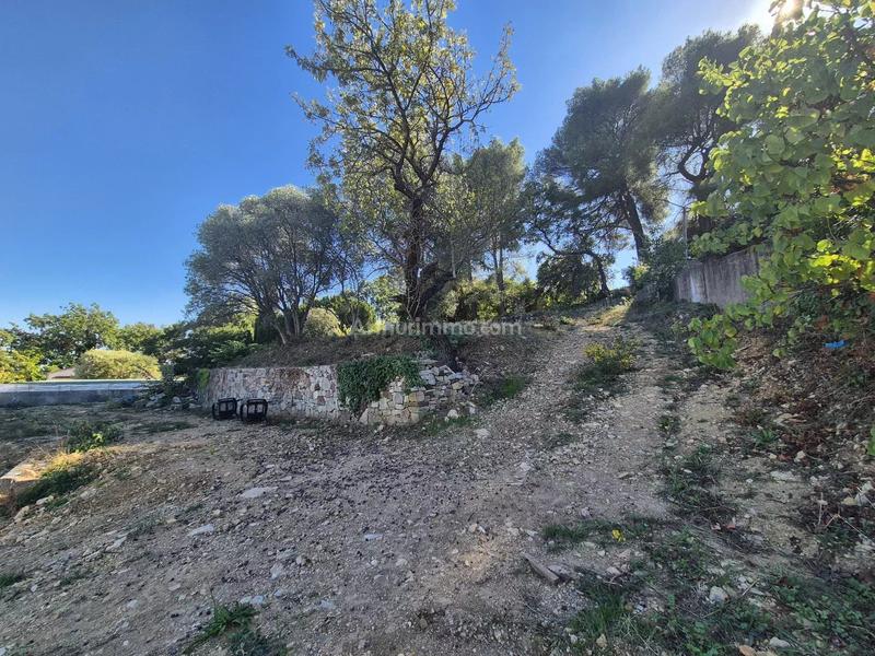 Terrain - 1 104 m²