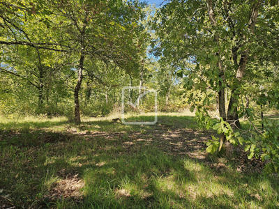 Maison - 113 m² - 5 pièces