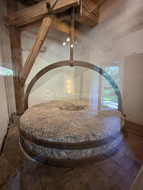 Moulin - 390 m² - 10 pièces