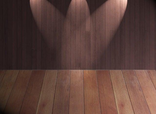 Spectacle théâtral "Elise et Moi"