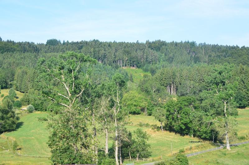 chez marie et didier