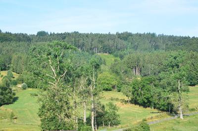 chez marie et didier