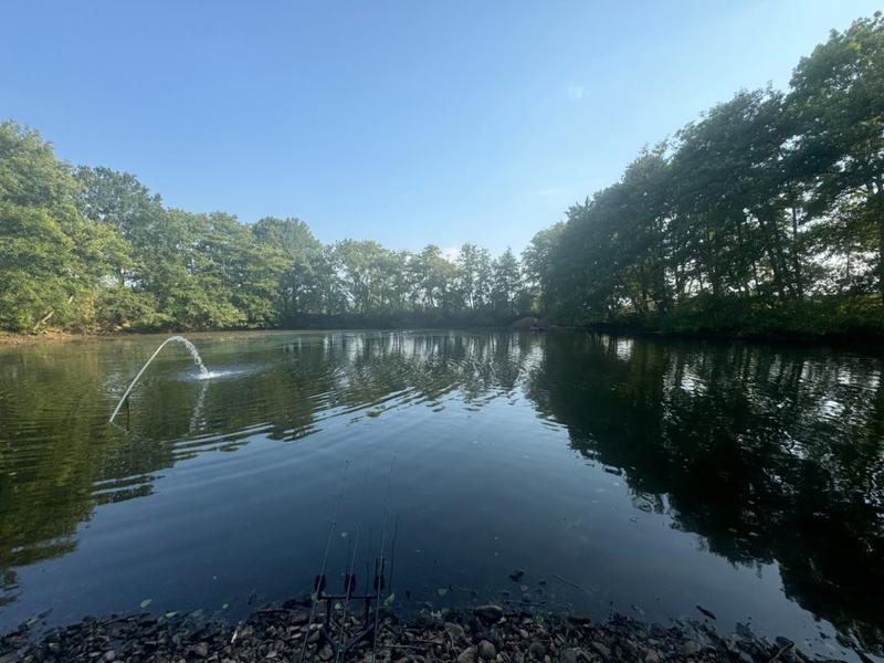 Propriété - 8 200 m² - 1 pièce