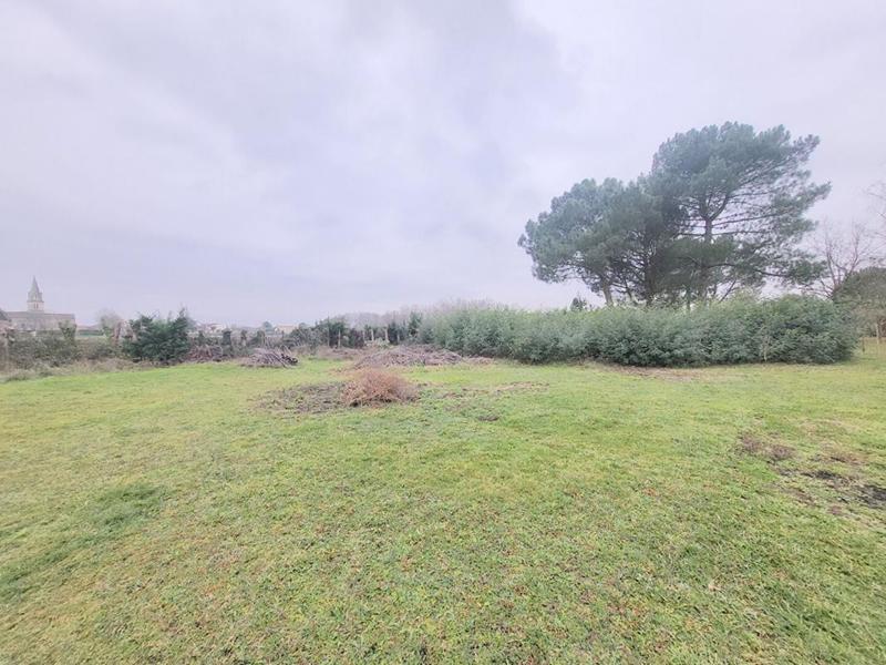 Terrain constructible - 3 099 m²
