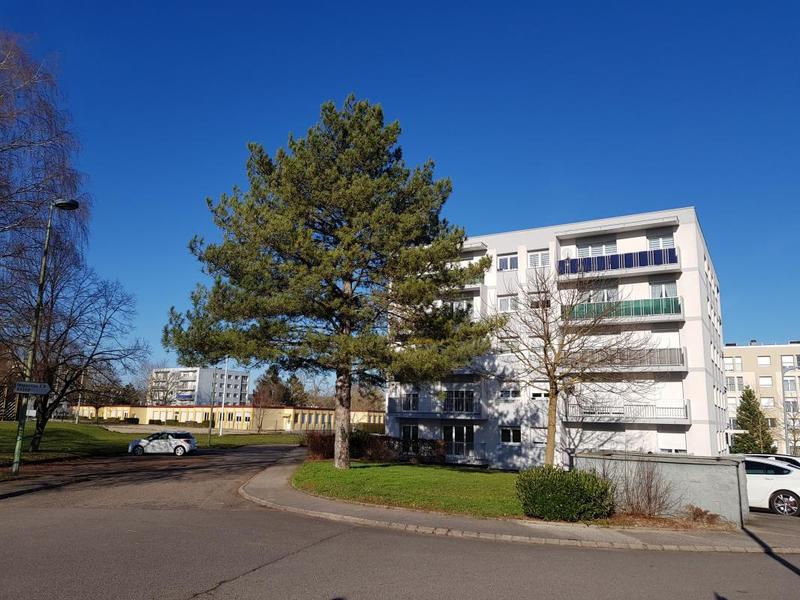 Appartement - 81 m² - 4 pièces