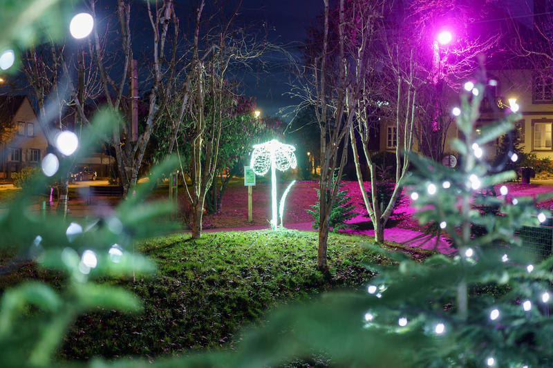 Les Jardins de Lumière - Illuminations au Parc de la Villa