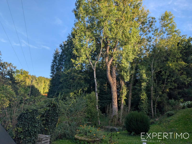 Maison - 338 m² - 8 pièces