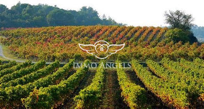 Maison - 242 m² - 10 pièces