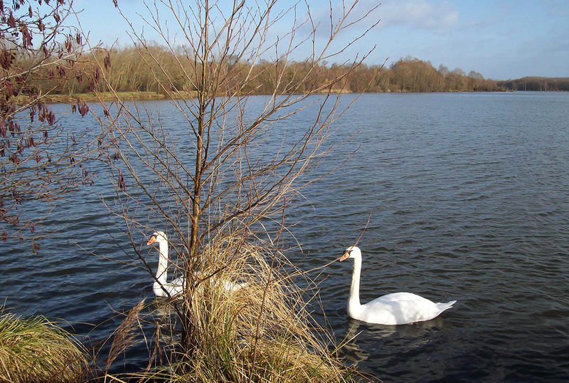 Sortie nature à Neuville-sur-Ailette : "Découverte du lac de l’Ailette"