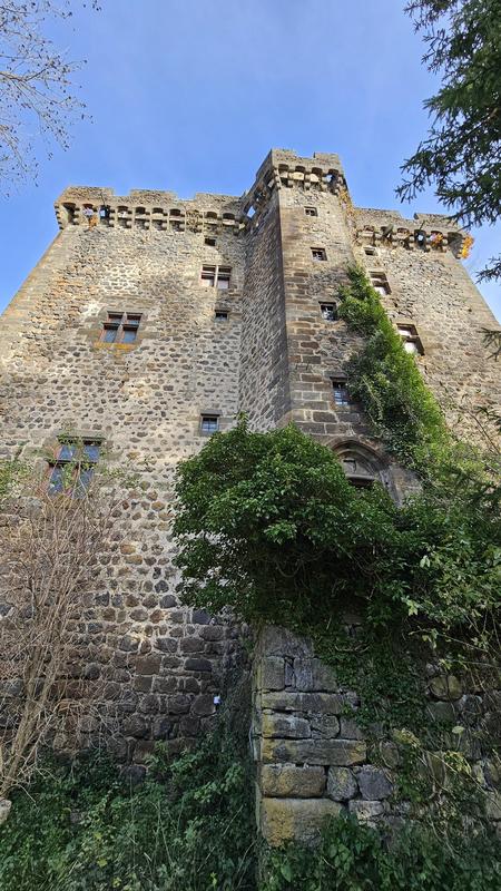 Château - 300 m² - 10 pièces