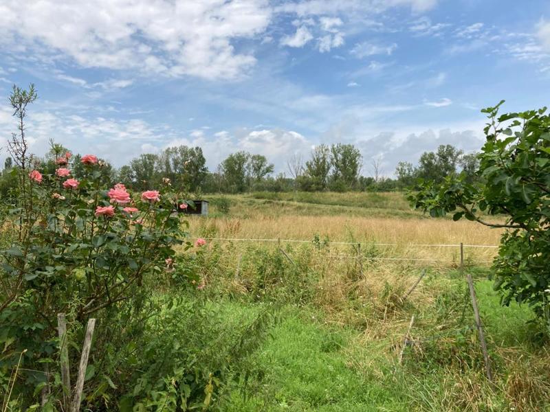 Maison - 250 m² - 9 pièces