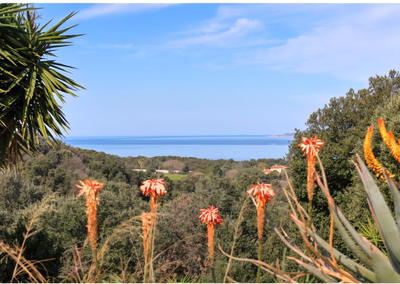 Villa - 270 m² - 10 pièces