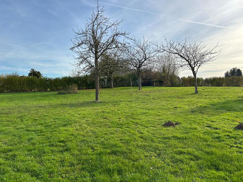 Maison - 97 m² - 5 pièces