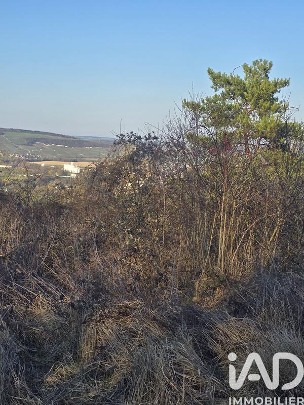 Terrain - 10 530 m²