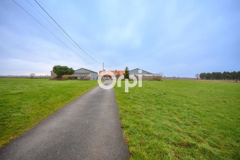 Ferme - 130 m² - 5 pièces