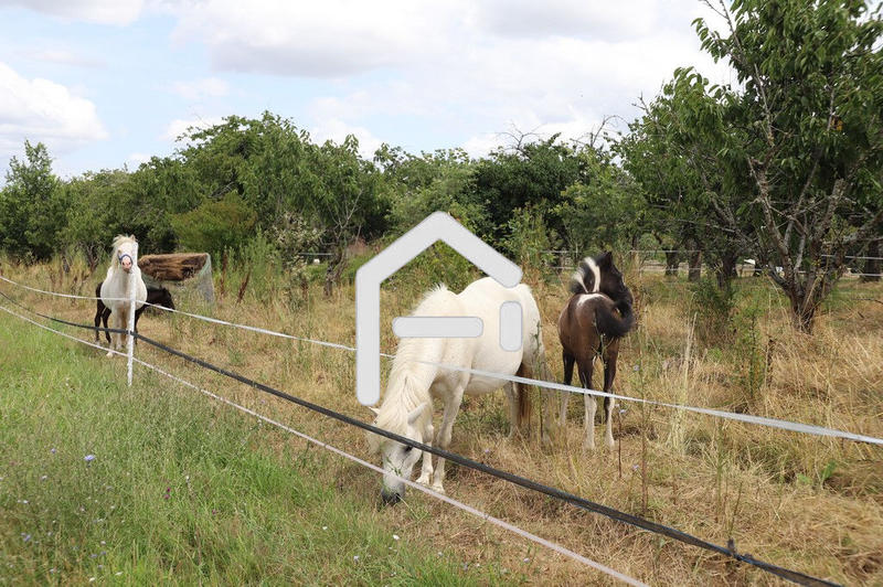 Maison - 250 m² - 7 pièces