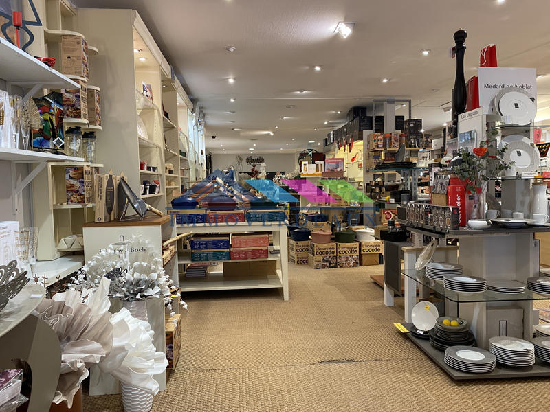 Fonds de commerce - Magasins - 250 m²