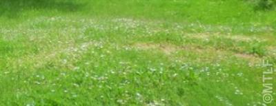 Terrain constructible - 850 m²