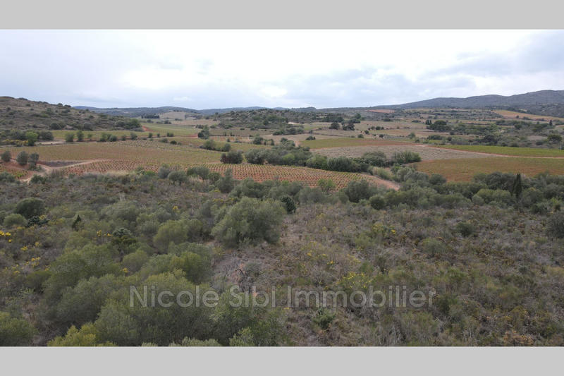 Terrain agricole - 13 475 m²