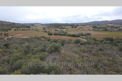 Terrain agricole - 13 475 m²