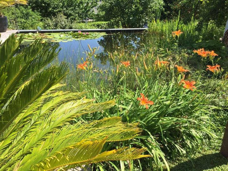 Rendez-vous aux jardins du Pays de Barr