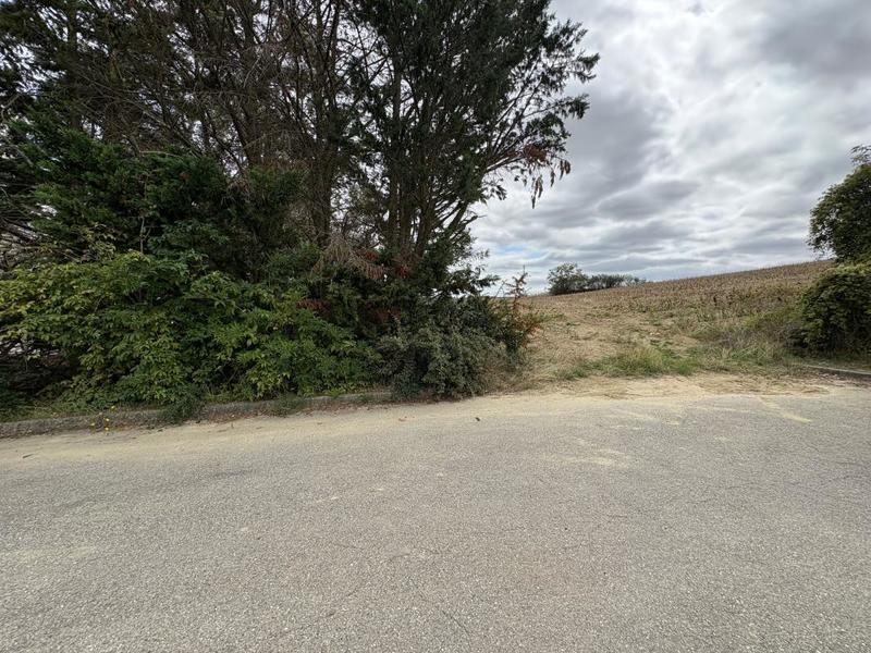 Terrain constructible - 19 811 m²